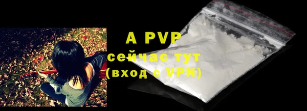 прущие грибы Богородицк