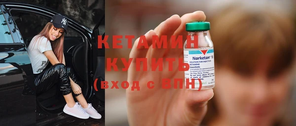 прущие грибы Богородицк