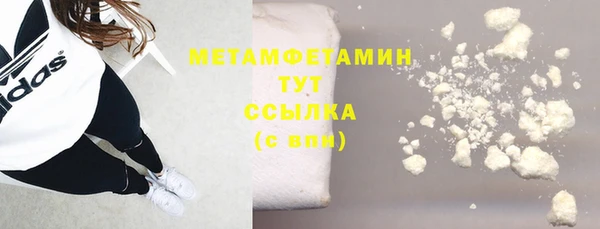 прущие грибы Богородицк
