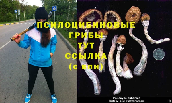 метамфетамин Бородино
