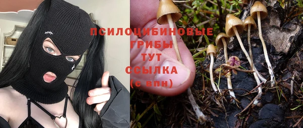 ГАЛЛЮЦИНОГЕННЫЕ ГРИБЫ Богородск