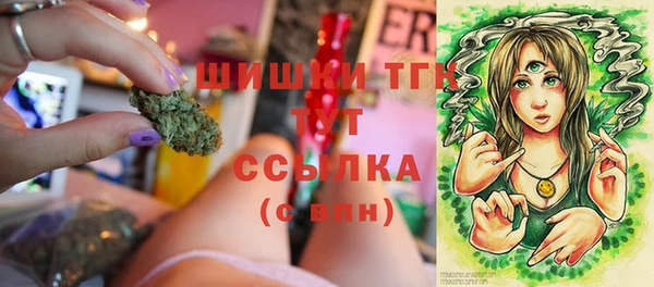 прущие грибы Богородицк