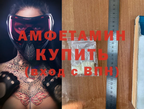 гидра Ельня
