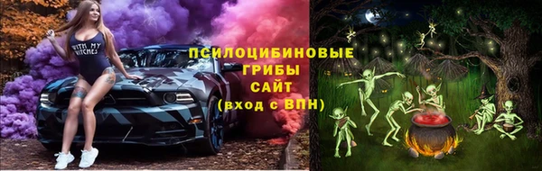 индика Бронницы