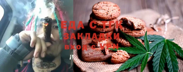 индика Бронницы