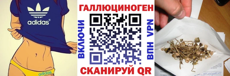 OMG маркетплейс  Старица  Псилоцибиновые грибы ЛСД 