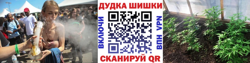 Бошки марихуана OG Kush  закладки  Старица 